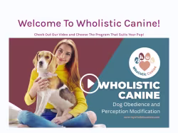 Mywholisticcanine