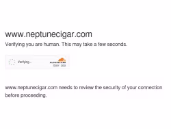 Neptunecigar