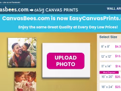Canvasbees