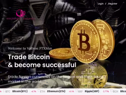 Voltronftxmarket