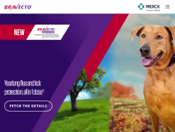 Bravecto