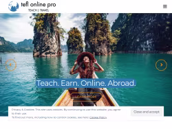 Teflonlinepro