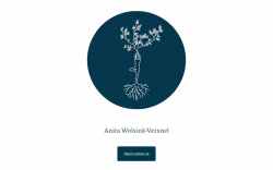 Anitawolsinkversnel