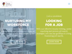 Thecareerstrategygroup