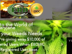 Ebdcmed