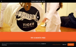 Tigermartialarts