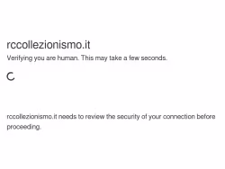Rccollezionismo
