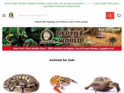 Junglebobsreptileworld