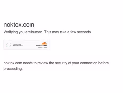 Noktox