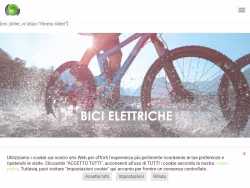 Bicielettrica