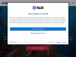 Padi