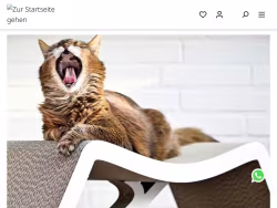 Cat-on