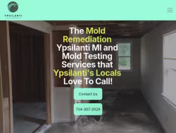 Moldremovalypsilanti