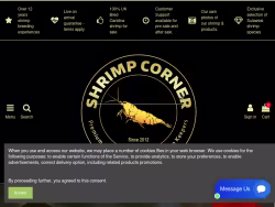 Shrimpcorner