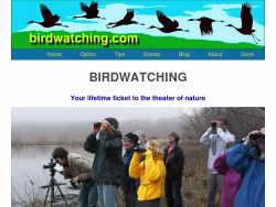 Birdwatching