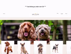 Caninecreationscheshire
