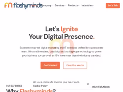 Flashyminds