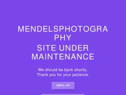 Mendelsphotography