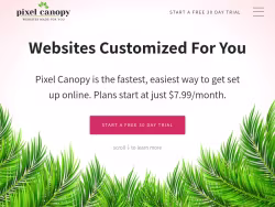 Pixelcanopy
