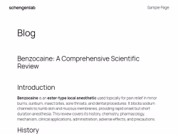 Schengenlab
