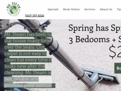 Mrsteamcarpetcleaning