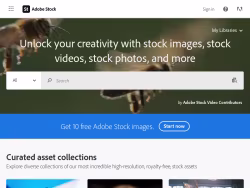 Stock