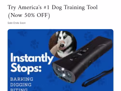 Doggydior