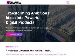 Bitswits