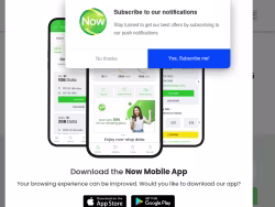 Nowmobile