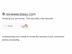 Reviewecstasy