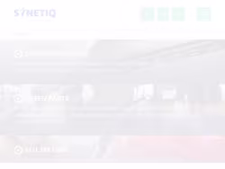 Synetiq