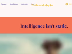 Turtleandelephant