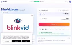Blinkvid