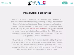 Africangreyparots