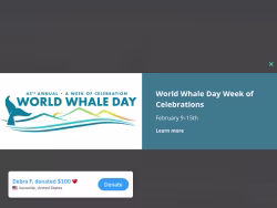 Pacificwhale
