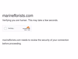 Marineflorists