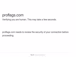 Proflags