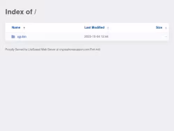 Cryptophonesupport