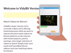 Vidybit