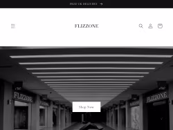 Flizzone