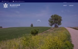 Bluechipfinancial