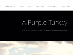 Apurpleturkey
