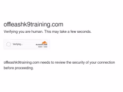 Offleashk9training