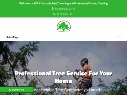 Treeservicesycamore