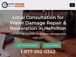 Waterdamagehamiltonny