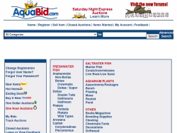 Aquabid
