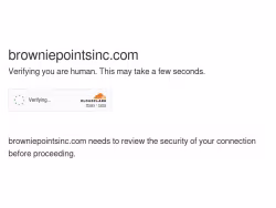 Browniepointsinc