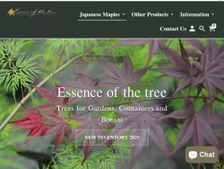 Essenceofthetree