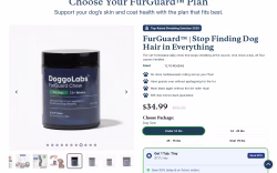 DoggoLabs