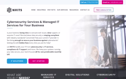 nvits.com